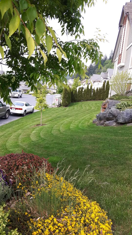 Beautifully mowed lawn with stripes, Chilliwack
